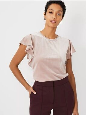Ann Taylor Pink Velvet Flutter Sleeve Too